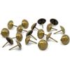 imageDritz Home 9009 Smooth Decorative Nails 38Inch Brass 36PieceAntique Brass