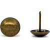 imageDritz Home 9009 Smooth Decorative Nails 38Inch Brass 36PieceAntique Brass