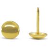 imageDritz Home 9009 Smooth Decorative Nails 38Inch Brass 36PieceBrass