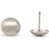 imageDritz Home 9009 Smooth Decorative Nails 38Inch Brass 36PieceBrushed Nickel