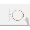 imageDritz 3202 Plastic NoSlip Quilting Hoop 12Inch Natural14Inch